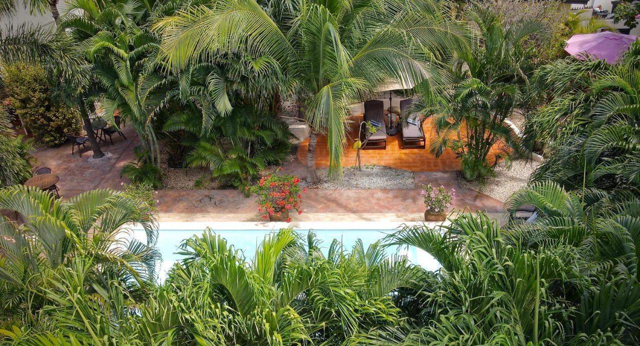 Wonders Boutique Hotel Οράνχεσταντ Εξωτερικό φωτογραφία