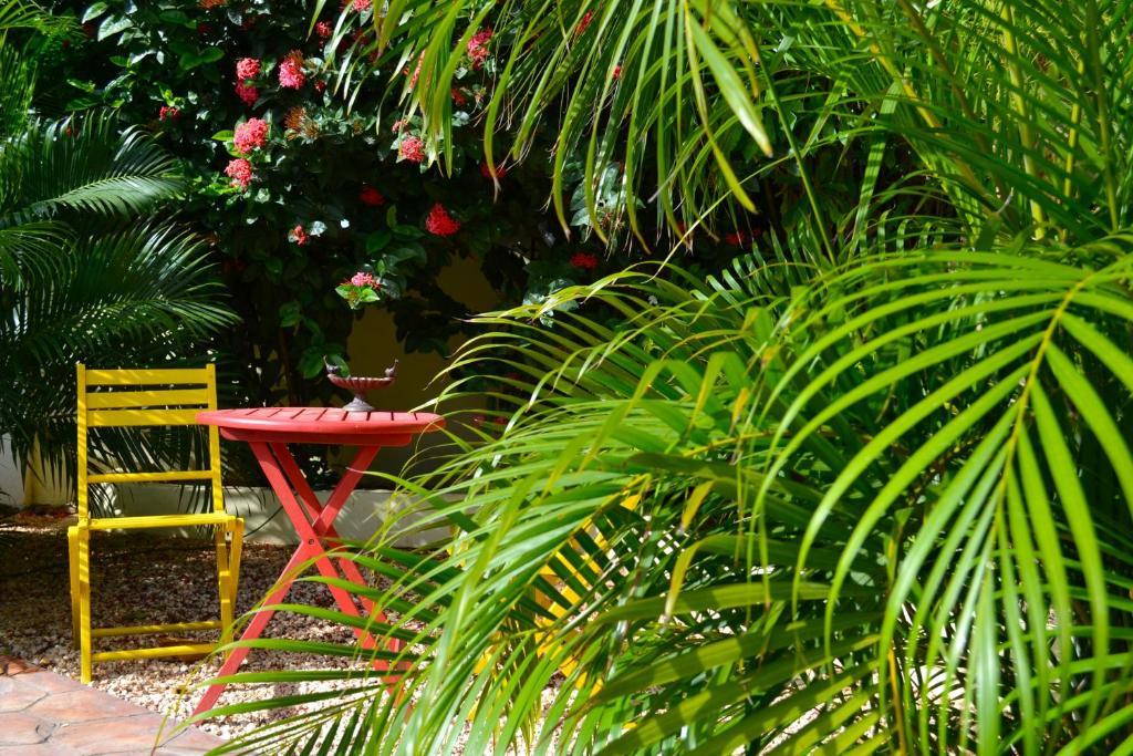 Wonders Boutique Hotel Οράνχεσταντ Εξωτερικό φωτογραφία